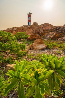 Ganh Den Deniz Feneri manzarası, Phu Yen. Burası Vietnam 'ın ünlü bir turistik mekanıdır. Seyahat ve manzara konsepti.