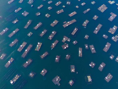 Istakoz besleme çiftliklerinin hava manzarası, Vung Ro körfezindeki yüzen balıkçı köyü, Phu Yen, Vietnam. Burası çok popüler bir turizm beldesi. Seyahat ve manzara konsepti