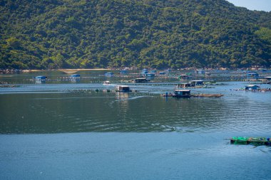 Istakoz besleme çiftliklerinin hava manzarası, Vung Ro körfezindeki yüzen balıkçı köyü, Phu Yen, Vietnam. Burası çok popüler bir turizm beldesi. Seyahat ve manzara konsepti