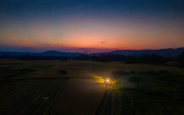 View of rice field in Phu Yen, Vietnam. Rice production in Vietnam in the Mekong and Red River deltas is important to the food supply. Travel and landscape concept clipart