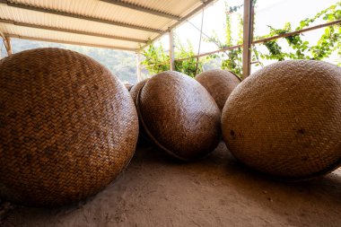 Vietnam 'ın Phu Yen bölgesinde An Dan, Tuy An bölgesinde balıkçılık yapan balıkçılara yardım eden bambu sepetinin görüntüsü. Seyahat kavramı