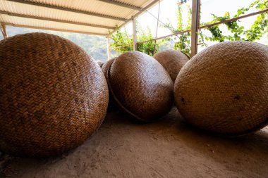 Vietnam 'ın Phu Yen bölgesinde An Dan, Tuy An bölgesinde balıkçılık yapan balıkçılara yardım eden bambu sepetinin görüntüsü. Seyahat kavramı