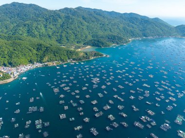 Istakoz besleme çiftliklerinin hava manzarası, Vung Ro körfezindeki yüzen balıkçı köyü, Phu Yen, Vietnam. Burası çok popüler bir turizm beldesi. Seyahat ve manzara konsepti