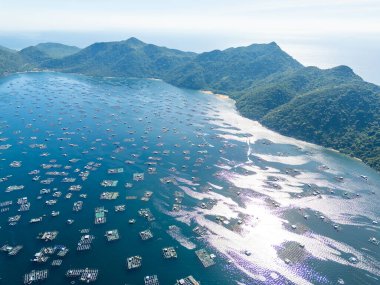 Istakoz besleme çiftliklerinin hava manzarası, Vung Ro körfezindeki yüzen balıkçı köyü, Phu Yen, Vietnam. Burası çok popüler bir turizm beldesi. Seyahat ve manzara konsepti