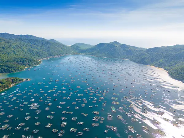 Istakoz besleme çiftliklerinin hava manzarası, Vung Ro körfezindeki yüzen balıkçı köyü, Phu Yen, Vietnam. Burası çok popüler bir turizm beldesi. Seyahat ve manzara konsepti