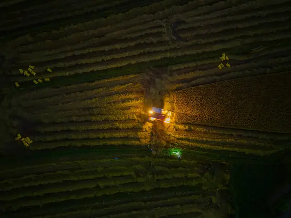 stock image View of rice field in Phu Yen, Vietnam. Rice production in Vietnam in the Mekong and Red River deltas is important to the food supply. Travel and landscape concept