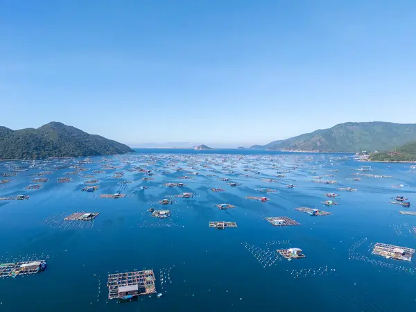 stock image Aerial view of the lobster feeding farms, float fishing village in Vung Ro bay, Phu Yen, Vietnam. This is a very popular tourist destination. Travel and landscape concept