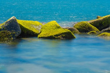 Ro köyündeki yeşil yosun plajı, Tuy Hoa şehri, Phu Yen bölgesi, Vietnam. Seyahat ve manzara konsepti.