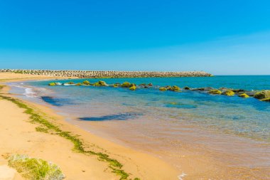 Ro köyündeki yeşil yosun plajı, Tuy Hoa şehri, Phu Yen bölgesi, Vietnam. Seyahat ve manzara konsepti.