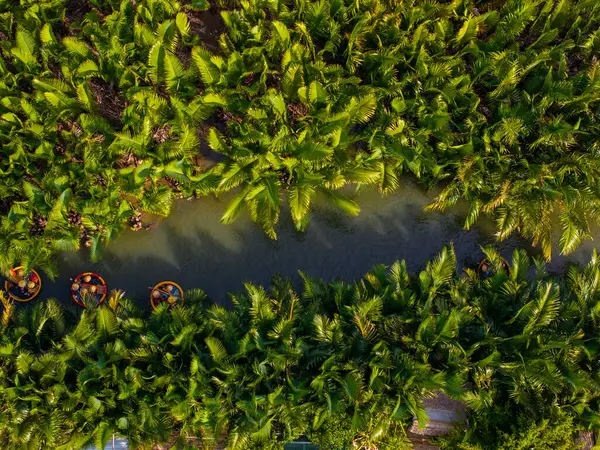 stock image Aerial view of a coconut village basket boat tour. Palms forest in Hoi An ancient town, Cam Thanh, Vietnam. Tourists having an excursion and fun in Thu Bon river. Travel and landscape concept