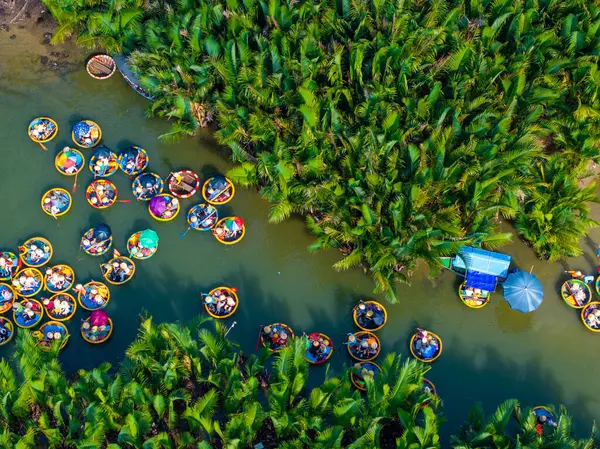 Hindistan cevizi köyü sepet tekne turunun havadan görüntüsü. Hoi 'deki Palms Ormanı. Eski bir kasaba, Cam Thanh, Vietnam. Turistler Thu Bon nehrinde gezip eğleniyorlar. Seyahat ve manzara konsepti