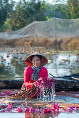 Long An vilayeti, Vietnam - 22 Ağustos 2024: Moc Hoa bölgesindeki kırsal kadınların manzarası, Long An vilayeti, Mekong Delta su zambağı hasat ediyor. Nilüfer burada geleneksel bir yemektir.