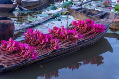 Hasat mevsiminde Mekong Delta 'daki nilüferlerin ve ahşap teknenin manzarası. Nilüfer burada geleneksel bir yemektir. Seyahat ve manzara konsepti