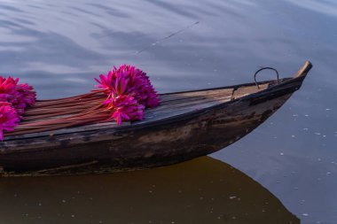 Hasat mevsiminde Mekong Delta 'daki nilüferlerin ve ahşap teknenin manzarası. Nilüfer burada geleneksel bir yemektir. Seyahat ve manzara konsepti