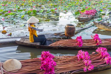 Moc Hoa bölgesindeki kırsal Vietnamlı kız, Long An eyaleti, Mekong Deltası su zambağı topluyor. Nilüfer burada geleneksel bir yemektir. Seyahat ve manzara konsepti