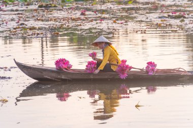 Moc Hoa bölgesindeki kırsal Vietnamlı kız, Long An eyaleti, Mekong Deltası su zambağı topluyor. Nilüfer burada geleneksel bir yemektir. Seyahat ve manzara konsepti