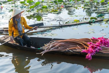 Moc Hoa bölgesindeki kırsal Vietnamlı kız, Long An eyaleti, Mekong Deltası su zambağı topluyor. Nilüfer burada geleneksel bir yemektir. Seyahat ve manzara konsepti