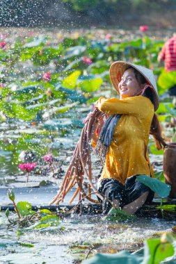 Moc Hoa bölgesindeki kırsal Vietnamlı kız, Long An eyaleti, Mekong Deltası su zambağı topluyor. Nilüfer burada geleneksel bir yemektir. Seyahat ve manzara konsepti
