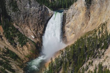 Yellowstone Ulusal Parkı 'ndaki Yellowstone Nehri' nin Yukarı Şelalesi manzarası.