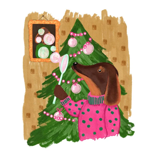 Hand drawn illustration of dog dachshund in pink sweater near christmas tree in home room interior. Cute character winter design for poster invitation card, funny print for children kids merry
