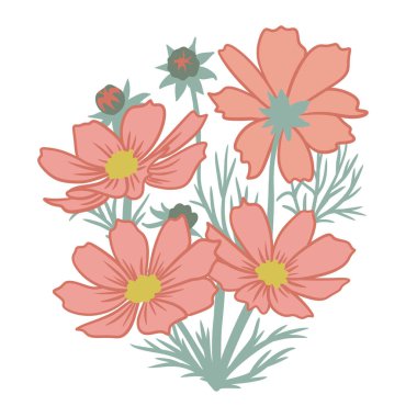 Hand drawn illustration of beige orange cosmos flowers with green leaves. Elegant summer foral composition with blossom blom foliage, for greeting cards invitations poster, nature natural pastel