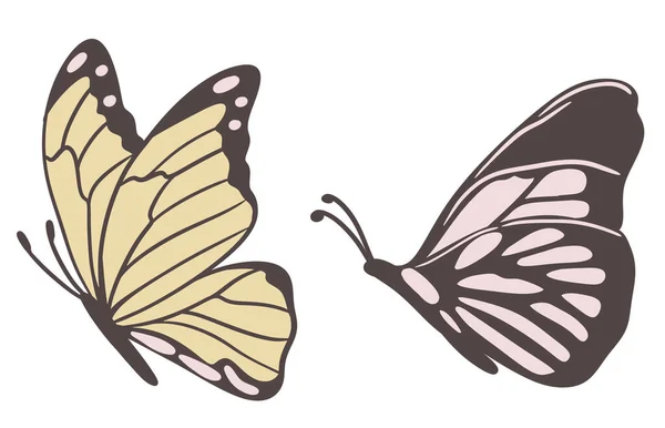 Handgetekende Illustratie Van Vlinder Mot Insect Beige Bruine Kleuren Natuursoort — Stockfoto