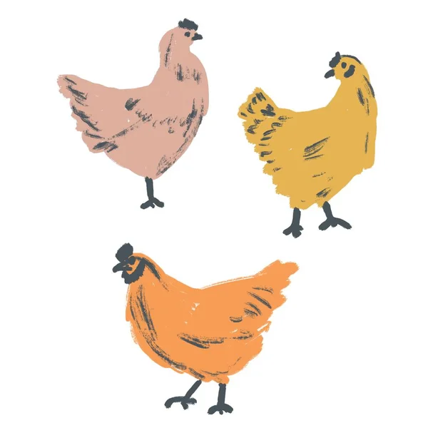 Hand drawn illustration of hen chicken, domestic bird animal poultry. Rustic retro vintage logo design in pink orange yellow ornament for packaging, organic food silhouette farm livestock.