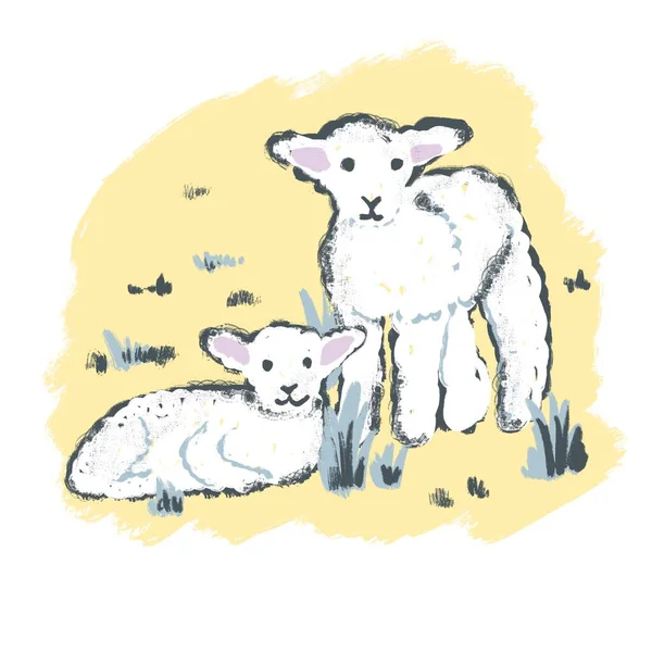 Рука Намалювала Ілюстрацію Милої Білої Вівці Весною Великодня Концепція Друк — стокове фото