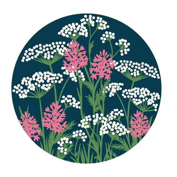 Hand drawn illustration of white cow parsley pink pyramidal orchid meadow wild flowers, wildflower floral design. Round circle nature plant on dark blue navy indigo background, british common herbs