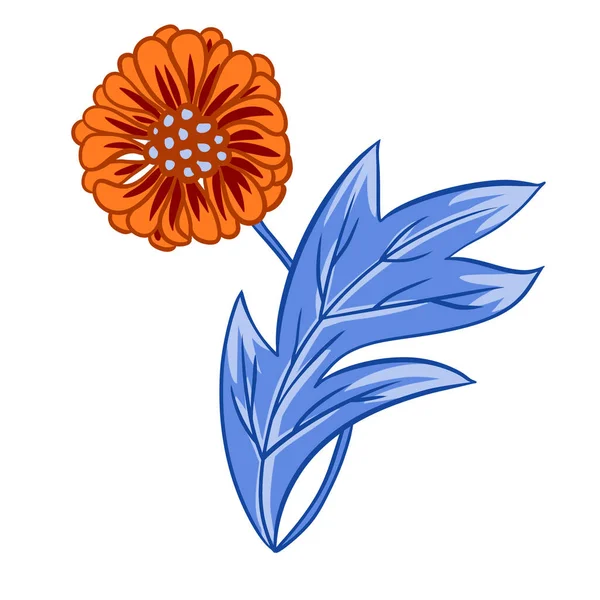 Hand Drawn Illustration Blue Orange Zinnia Daisy Daisy Flowers Leaves — Stock Photo, Image