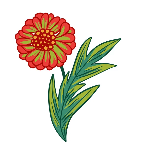 手工绘制了橙绿色紫罗兰菊花叶子在白色孤立背景上的图解 色彩艳丽的复古印花图案 六十年代七十年代花卉艺术 自然植物开花 — 图库照片