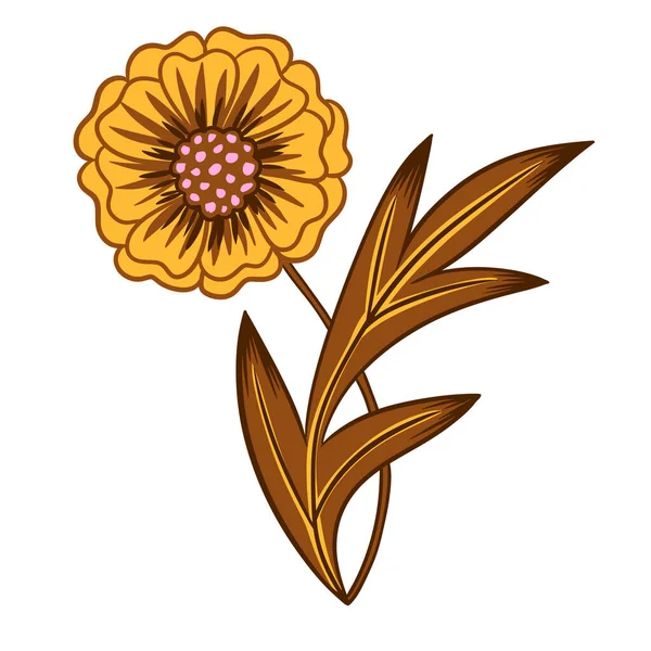 Hand Drawn Illustration Yellow Brown Zinnia Daisy Daisy Flowers Leaves — Stock Photo, Image