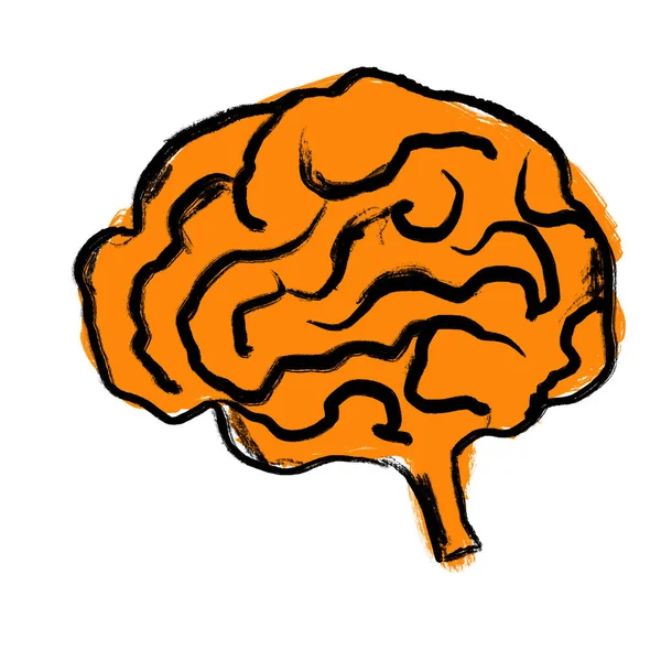 手绘了橙色大脑思维思想的图解 医学绘图草图 解剖学器官体 孤立生物学概念 科学科学艺术 用黑色白墨水隔绝 — 图库照片