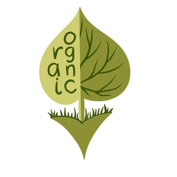 緑の葉を持つ有機グリーンラベルステッカーの手描きイラスト 自然生態系の環境標識要素 石灰葉の枝 手のレタリングの言葉 農業市場食品 — ストック写真