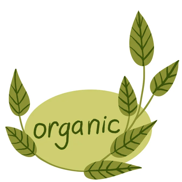 Ručně Kreslená Ilustrace Organického Zeleného Štítku Zelenými Listy Příroda Ekologický — Stock fotografie