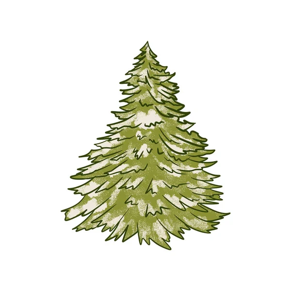 手绘绿色圣诞树冬季设计图解 简单的卡通片节日庆祝艺术 松树树枝印刷贺卡 新年元素 — 图库照片