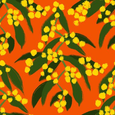 Sarı zik zag gagalı el çizimi iz, Acacia macradenia. Avustralya bitki örtüsü, bahar çiçeği çiçek deseni, doğa ağacı çalısı vahşi manzara sanatı.