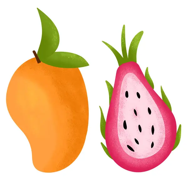 Handgezeichnete Illustration Von Mango Drachenfrüchten Exotischen Lebensmitteln Tropischen Vegetarischen Produkten Stockfoto
