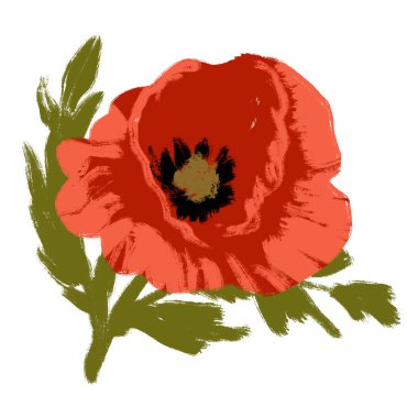 El çizimi kırmızı turuncu gelincik çiçeği ve beyaz arka planda yeşil yapraklar. Sanatsal tarzda botanik ve cesur illüstrasyon, antika bahçe baskısı, çiçek açan çiçek yaprakları, çağdaş tasarım