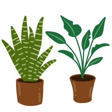 Minimalist palmiye sanseviera yılanının el yapımı illüstrasyon unsurları keman ağacı fidanı. Basit bej rengi terra cotta kil şehir ormanı için saklanmış doğa sever ev bitkileri.