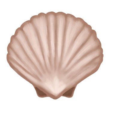 Kabukları elle çizilmiş kabuklar, moch köpüğünde deniz kabuğu bej kahverengi renkler, okyanus altı vahşi yaşam hayvanları. Deniz yazları plaj tasarımı, mercan resifleri doğa.