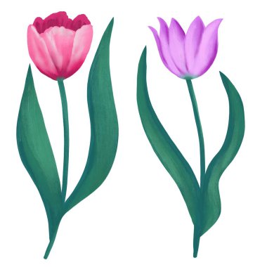 Renkli bahar çiçeklerinin el çizimi lale nergis. Yeşil yapraklar dalları, pastel sarısı çiçek çiçekleri çiçek açar. Bahçıvanlık zarif bir tasarım. Zarif buket.