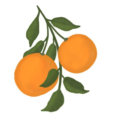 Canlı yeşil yaprakları ve çiçekleri olan parlak turuncu mandalina turunçgillerinin el çizimi. Yiyecekler için organik vejetaryen etiketler, ambalajlar. Doğal tasarım elementleri renkli ve kalın.