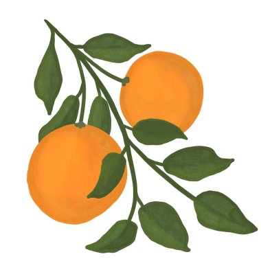 Canlı yeşil yaprakları ve çiçekleri olan parlak turuncu mandalina turunçgillerinin el çizimi. Yiyecekler için organik vejetaryen etiketler, ambalajlar. Doğal tasarım elementleri renkli ve kalın.