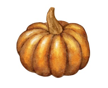 Sarı portakallı sonbahar balkabağının el çizimi. Cadılar Bayramı Şükran Günü için çıkartma, rahat çiftlik evi tasarımı, boya dokusu. Suluboya sanat tasarımı