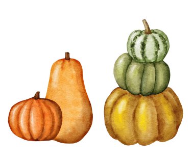 Sarı portakallı sonbahar balkabağının el çizimi. Cadılar Bayramı Şükran Günü için çıkartma, rahat çiftlik evi tasarımı, boya dokusu. Suluboya sanat tasarımı