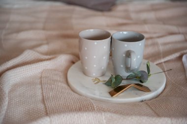 Örülmüş, desenli, beyaz bir ekose üzerinde yeşil okaliptüs dallı mermer bir tepsi yatar, üzerinde iki gri puantiyeli fincan bulunur. İç mekanda İskandinav tarzı, romantik bir sabah