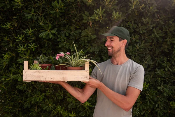 Man Gardener Green Cap Holds Wooden Box Houseplants Front Living — Zdjęcie stockowe