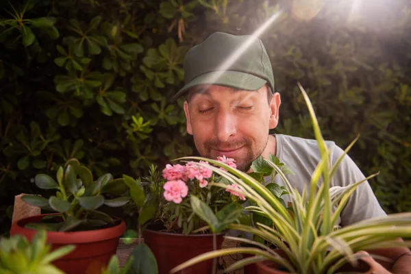 Man gardener in green cap smiles as smells indoor plants in front of living evergreen fence Phillyrea latifolia. Allergy to flowers. Natural holiday gift. Small business, hobby, gardening. Copy space