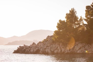 Rocky seashore, beach with green pine trees at sunset. Nature of Montenegro. Natural, texture background. Turquoise calm Adriatic Sea. Green coniferous forest. Scenic seascape. Wallpaper, copy space